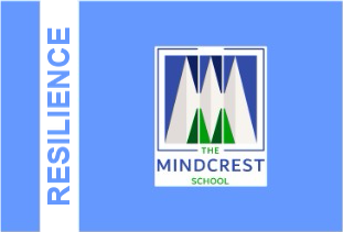 Resilience house flag