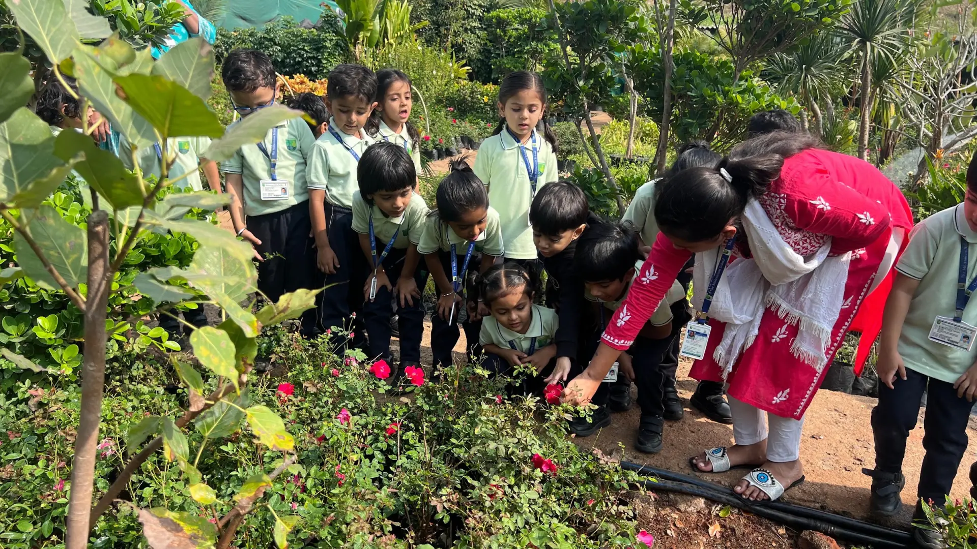 Students on a school outing